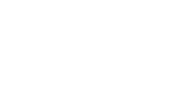 Logo FlexorLab Performance