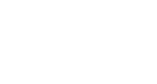 Logo Polo Nerd